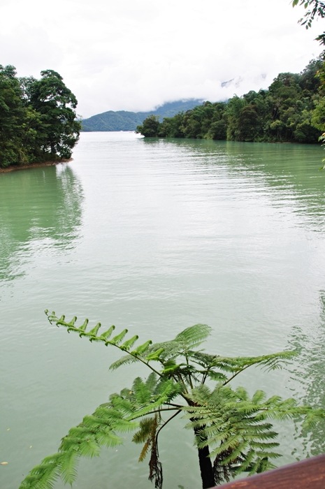 Peace, water